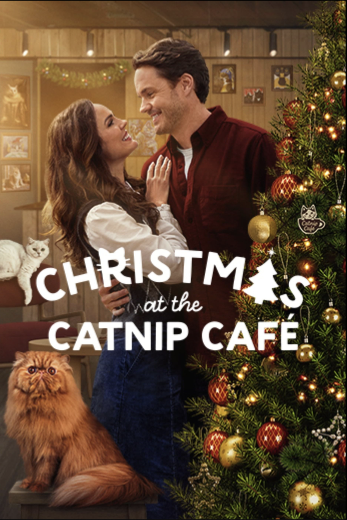 Christmas at the Catnip Café (2025)